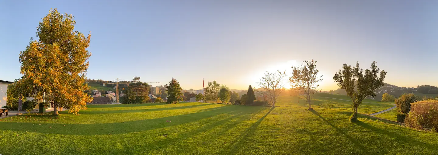 Grüne Wiesen und Abendsonne in der Umgebung der Waldegg